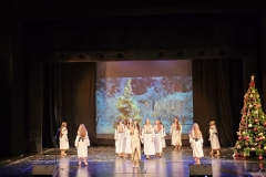 viber_изображение_2025-12-17_08-49-35-771