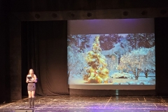 viber_изображение_2025-12-17_08-49-35-821