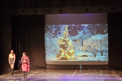 viber_изображение_2025-12-17_08-49-35-839