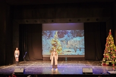 viber_изображение_2025-12-17_08-49-35-928