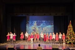 viber_изображение_2025-12-17_08-49-35-972