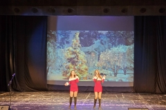 viber_изображение_2025-12-17_08-49-36-138