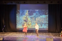 viber_изображение_2025-12-17_09-52-12-667