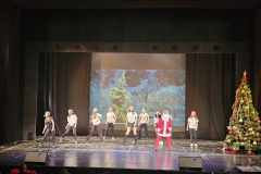 viber_изображение_2025-12-17_09-58-51-013