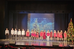 viber_изображение_2025-12-17_09-58-53-171