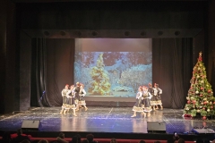 viber_изображение_2025-12-17_10-44-30-196