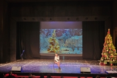 viber_изображение_2025-12-17_11-04-47-989