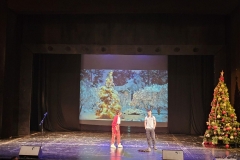 viber_изображение_2025-12-17_11-05-45-869