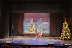 viber_изображение_2025-12-17_11-35-25-460