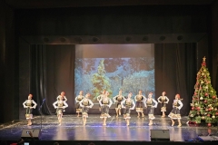 viber_изображение_2025-12-17_11-35-54-503